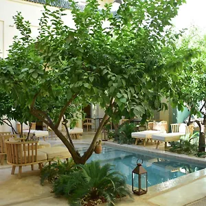 بيت ضيافة Emberiza Sahari